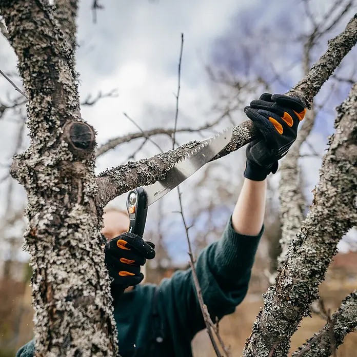 Fiskars Plus Klappsäge SW69 - 21 cm - Eine behandschuhte Hand hält eine schwarz-orange Astsäge und schneidet einen mit Flechten bewachsenen Ast.
