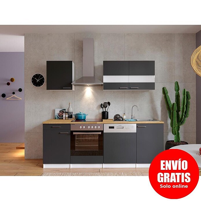 Respekta Composición de cocina (Ancho: 220 cm, Con dispositivos eléctricos, Gris)