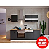 Respekta Composición de cocina (Ancho: 220 cm, Con dispositivos eléctricos, Gris)