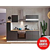 Respekta Composición de cocina (Ancho: 240 cm, Con dispositivos eléctricos, Gris)