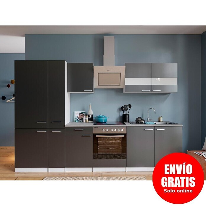 Respekta Composición de cocina (Ancho: 300 cm, Con dispositivos eléctricos, Gris)