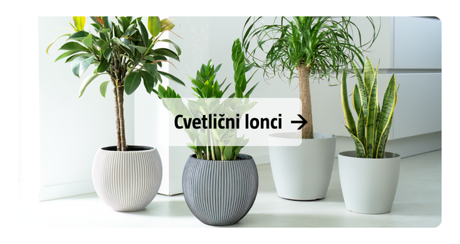 Cvetlični lonci