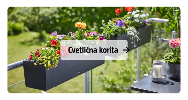 Cvetlična korita