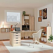 Muebles Pitarch Cómoda Eko (L x An x Al: 43 x 40 x 71 cm, Roble)