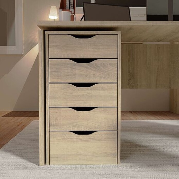 Muebles Pitarch Cómoda Eko (L x An x Al: 43 x 40 x 71 cm, Roble)
