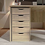 Muebles Pitarch Cómoda Eko (L x An x Al: 43 x 40 x 71 cm, Roble)