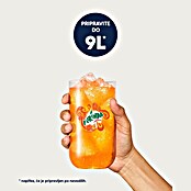 SodaStream Koncentrat za pripravo gazirane pijače  (440 ml, Okus Mirinda) | 2603 - Technische Gase | BCDJ - Technische Gase | BCD - Maschinenzubehör | BC - Maschinenzubehör | B - Werkz/Masch/Maschzubeh/Auto | BAUHAUS