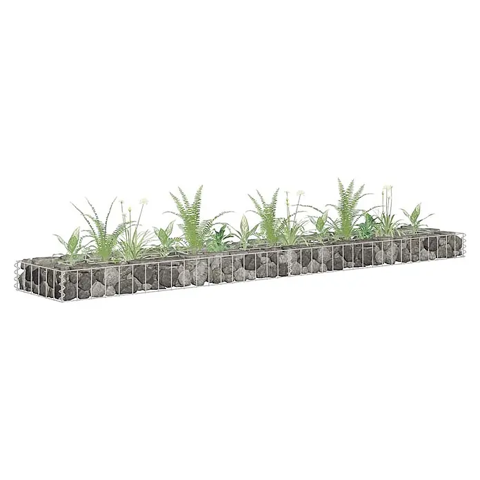 Furnicato Gabionen-Hochbeet - 30 x 180 x 10 cm - Langer Gabionen-Pflanzkasten mit grauen Steinen und verschiedenen grünen Pflanzen, darunter Farne und weiß blühende Allium.