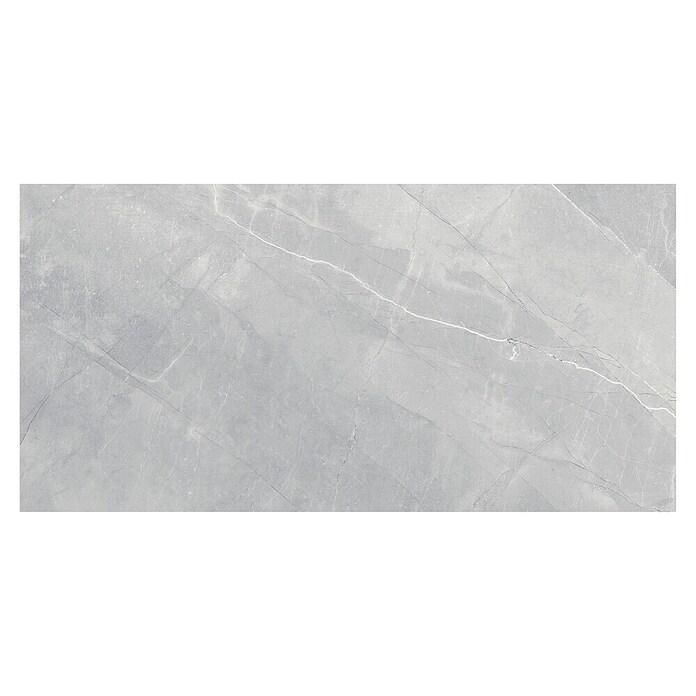 Feinsteinzeugfliese Pulpis Silver (120 x 60 cm, Graubeige, Glänzend) | BAUHAUS