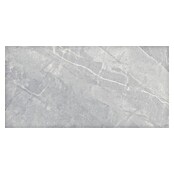 Feinsteinzeugfliese Pulpis Silver (120 x 60 cm, Graubeige, Glänzend) | BAUHAUS