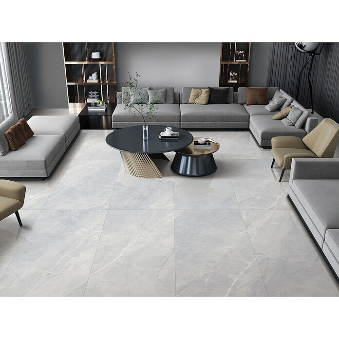 Feinsteinzeugfliese Pulpis Silver (120 x 60 cm, Graubeige, Glänzend) | BAUHAUS