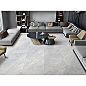 Feinsteinzeugfliese Pulpis Silver (120 x 60 cm, Graubeige, Glänzend) | BAUHAUS