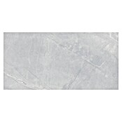 Feinsteinzeugfliese Pulpis Silver (120 x 60 cm, Graubeige, Glänzend) | BAUHAUS