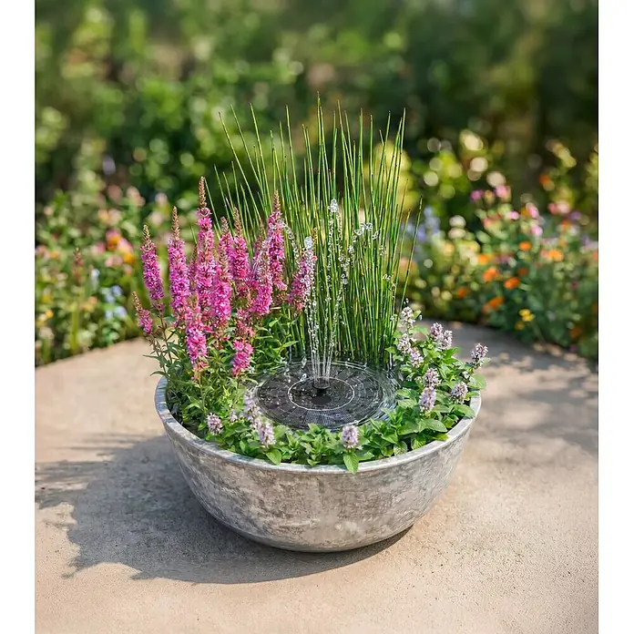 Heissner Zierbrunnen Solar Wassergarten Aquatopia - Hellgrau, Ø x H: 46 x 21 cm - Ein Solarbrunnen in einem grauen Pflanzgefäß mit lila und grünen Pflanzen, der ein beruhigendes Wasserspiel im Garten schafft.
