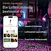 Steinel LED-Trafo 24V-Garten-Lichtsystems (Schwarz, 100 W) | BAUHAUS