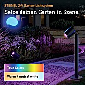 Steinel LED-Trafo 24V-Garten-Lichtsystems (Schwarz, 100 W) | BAUHAUS