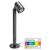 Steinel LED-Gartenstrahler Way SC 24V Garten-Lichtsystems (363 lm, 1 800 K - 4 000 K, IP65) | BAUHAUS