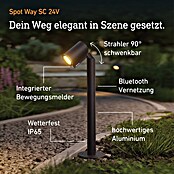 Steinel LED-Gartenstrahler Way SC 24V Garten-Lichtsystems (363 lm, 1 800 K - 4 000 K, IP65) | BAUHAUS