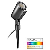 Steinel LED-Gartenstrahler SC Spot 24V Garten Lichtsystem (363 lm, 1 800 K - 4 000 K, IP65) | BAUHAUS