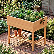 Dobar Hochbeet (80 x 58 x 80 cm, Nutzfläche: 0,48 m², Kiefer)