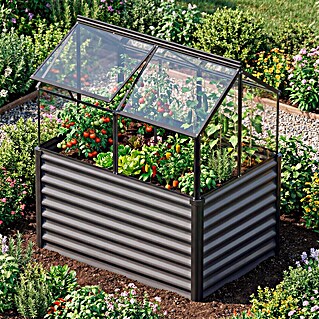 Vitavia Hochbeet Paris (121,7 x 83,1 x 135,1 cm, Schwarz, Sicherheitsglas)