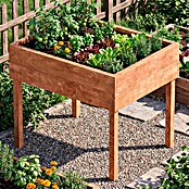 Dobar Hochbeet (50 x 40 x 45 cm, Holz, Braun)