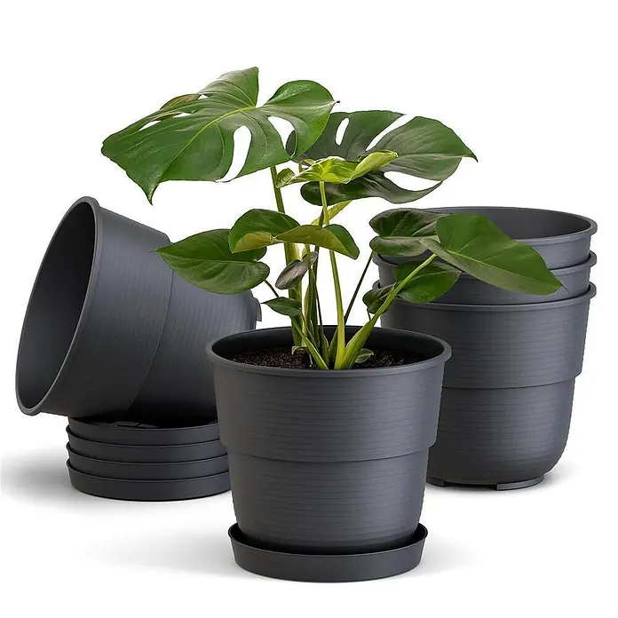 Plastard Pflanztopf Milano 5er Set mit Untersetzer in Anthrazit – Blumentopf - Außenmaß (Ø x H): 20 x 17 cm, Kunststoff, Anthrazit - Dunkelgraue Kunststoff-Pflanztöpfe mit Untersetzern, teils gestapelt, einer mit einer Monstera-Pflanze.