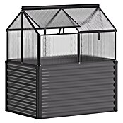 Vitavia Hochbeet Paris (121,7 x 83,1 x 135,1 cm, Schwarz, Polycarbonat) | BAUHAUS