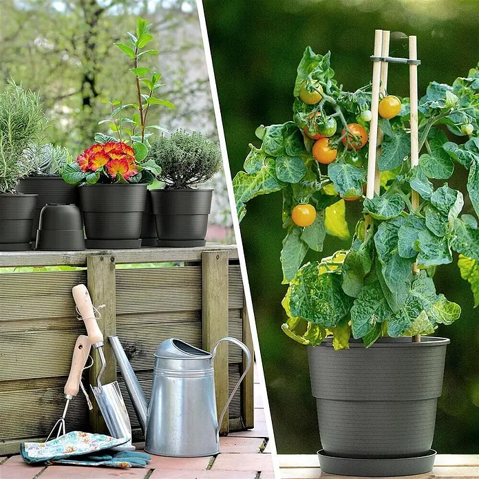 Plastard Pflanztopf Milano 3er Set mit Untersetzer in Anthrazit – Blumentopf - Außenmaß (Ø x H): 20 x 17 cm, Kunststoff, Anthrazit - Dunkelgraue Kunststoffpflanzgefäße in einem Garten, die Kräuter, Blumen und eine gestützte Tomatenpflanze zeigen.