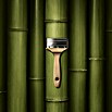 Schöner Wohnen Wandfarbe Trendfarbe Tester (Bamboo, 50 ml, Matt)