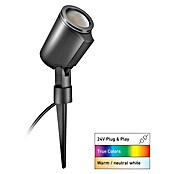 Steinel LED-Gartenstrahler C Spot 24V Garten Lichtsystem (363 lm, 1 800 K - 4 000 K, IP65) | BAUHAUS