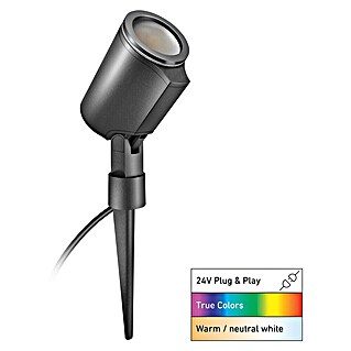 Steinel LED-Gartenstrahler C Spot 24V Garten Lichtsystem (363 lm, 1 800 K - 4 000 K, IP65)