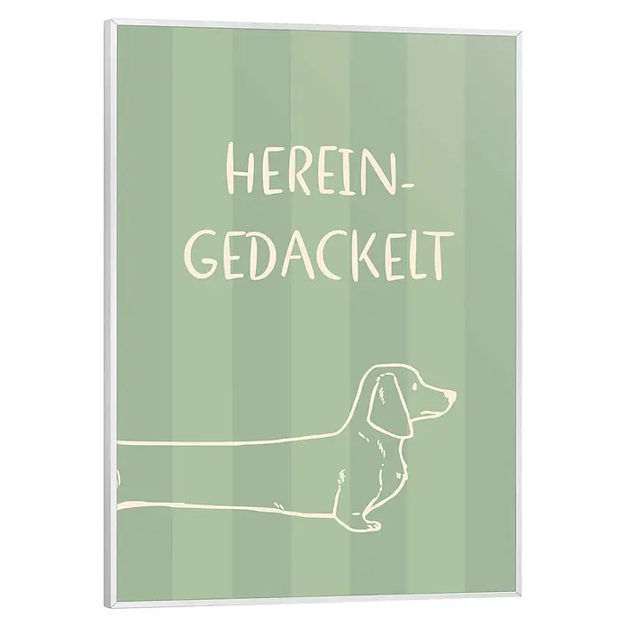 Reinders Bild Slim Frame White - Herein Gedackelt, B x H: 30 x 40 cm - Weiß gerahmtes Poster mit hellgrünem Hintergrund, Text „HEREIN-GEDACKELT“ und Dackel-Illustration.
