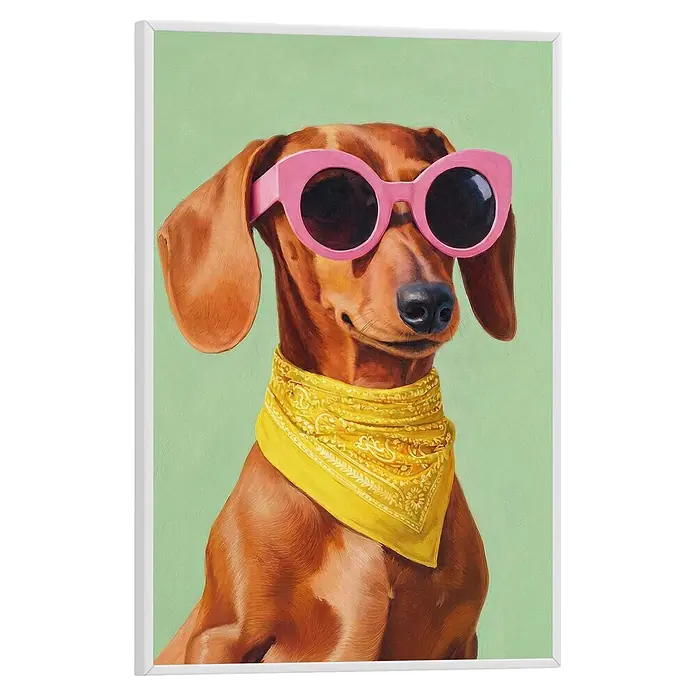 Reinders Bild Slim Frame White - Funny Dachshund, B x H: 20 x 30 cm - Gerahmtes Kunstwerk eines Dackels mit rosa Sonnenbrille und gelbem Halstuch.