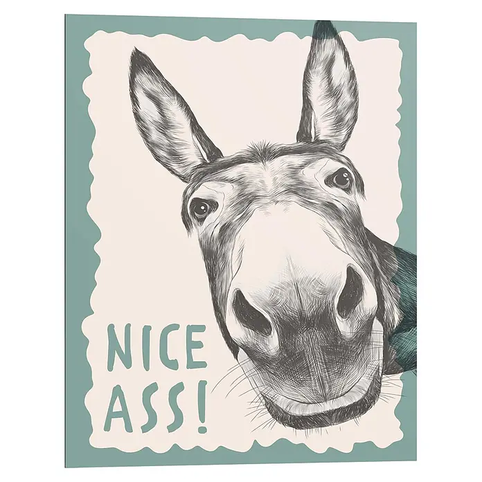 Reinders Decopanel - Nice Ass, B x H: 40 x 50 cm - Skizzenhafter Druck eines Eselskopfes mit Text „NICE ASS!“, gerahmt von einer unregelmäßigen grünblauen Bordüre.