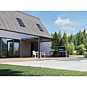 Pergola - stenska Bellano S25  (Barva ogrodja: Antracit, Aluminij, Š x G x V: 4 x 3 x 2,5 m) | 4817 - Terrassenüberdachungen | GBDF - Vordächer | GBD - Bauelemente | GB - Bauelemente | G - Holz/Bauelem | BAUHAUS