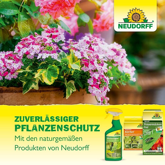 Neudorff Pilzfrei Armisan AF Obst- und Gemüse MehltauFrei (Nettovolumen: 500 ml) | BAUHAUS