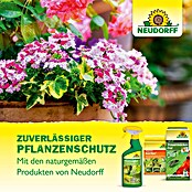 Neudorff Pilzfrei Armisan AF Obst- und Gemüse MehltauFrei (Nettovolumen: 500 ml) | BAUHAUS