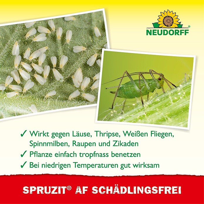SPRUZIT SCHÄDLINGSFREI 500ml, AF