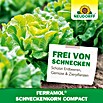 Neudorff Schneckenkorn Ferramol Compact (700 g)