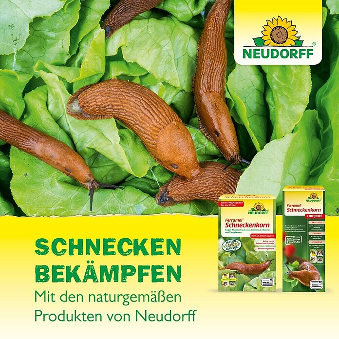 Neudorff Schneckenkorn Ferramol Compact (700 g)