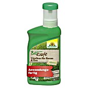 Neudorff BioKraft Vitalkur Für Buxus & Ilex (300 ml)