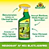 Neudorff Blattlausfrei Neudosan (500 ml) | BAUHAUS
