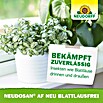 Neudorff Blattlausfrei Neudosan (500 ml) | BAUHAUS