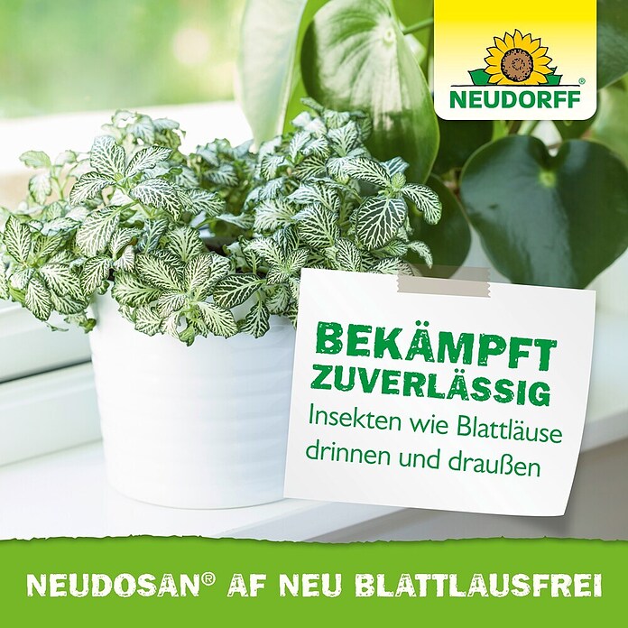 Neudorff Blattlausfrei Neudosan (500 ml) | BAUHAUS