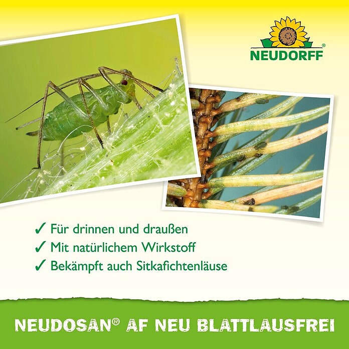 Neudorff Blattlausfrei Neudosan (500 ml) | BAUHAUS