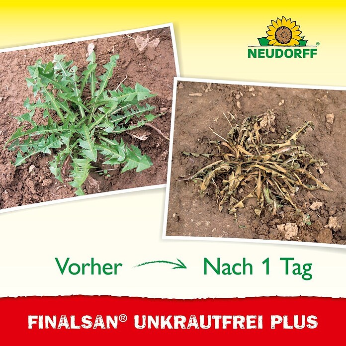 Neudorff Finalsan Unkrautfrei Plus (2 l) | BAUHAUS