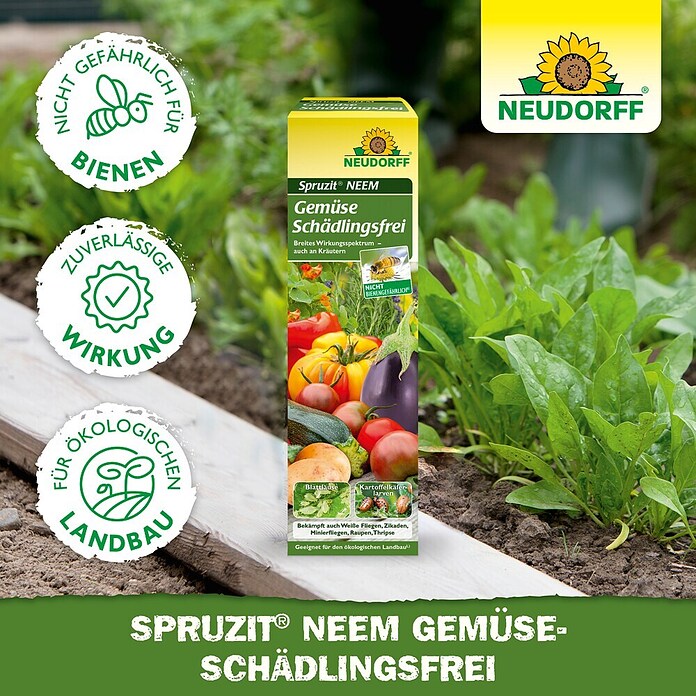 Neudorff Schädlingsfrei Gemüse Spruzit Neem (Nettovolumen: 75 ml) | BAUHAUS