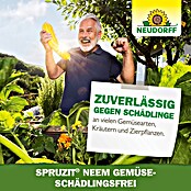 Neudorff Schädlingsfrei Gemüse Spruzit Neem (Nettovolumen: 75 ml) | BAUHAUS