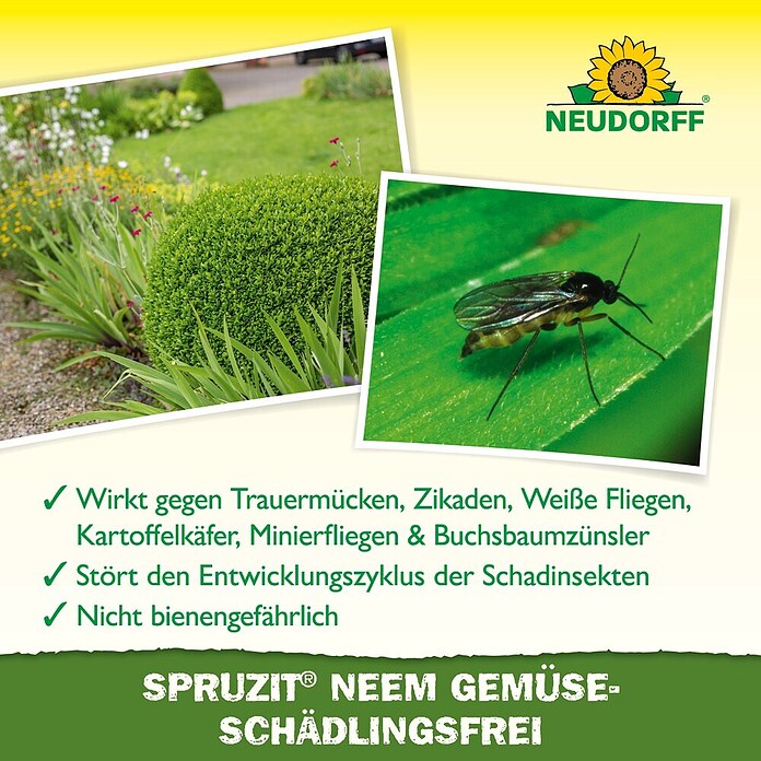 Neudorff Schädlingsfrei Gemüse Spruzit Neem (Nettovolumen: 75 ml) | BAUHAUS